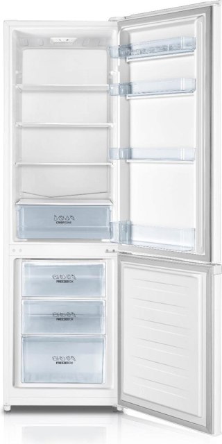 Gorenje Chłodziarko-zamrażarka GORENJE RK4182PW4