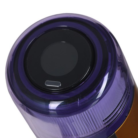 DYSON Odkurzacz DYSON V12 Detect Slim Absolute (2023)