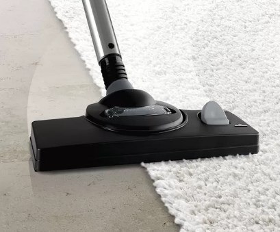 BOSCH Odkurzacz BOSCH BWD 421PRO