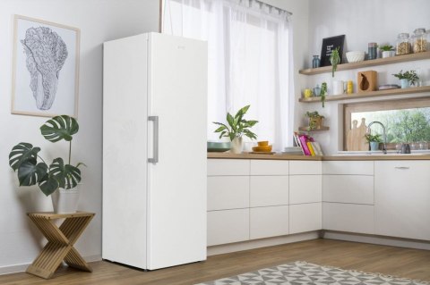 Gorenje Zamrażarka szufladowa GORENJE FN619EEW5