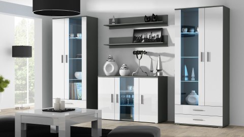 Cama MEBLE Witryna SOHO S6 2D2S szary/ biały połysk