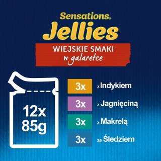 PURINA NESTLE FELIX Sensations indyk, makrela, jagnięcina - mokra karma dla kota - 12x 85g