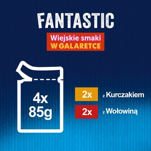 PURINA NESTLE PURINA Felix Fantastic: wiejskie smaki - karma dla kota - 4 x 85g