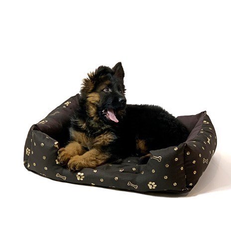 Go Gift GO GIFT Kostka Legowisko dla psa XL - brązowy - 75x55x15 cm Go Gift GO GIFT Kostka Legowisko dla psa XL - brązowy - 75x55x15 cm