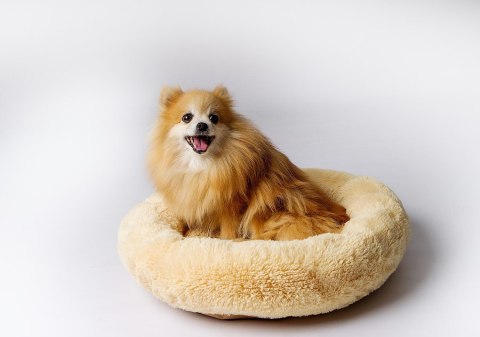 Go Gift GO GIFT Shaggy kremowy L - legowisko dla zwierząt - 66 x 66 x 10 cm Go Gift GO GIFT Shaggy kremowy L - legowisko dla zwierząt - 66 x 66 x 10 cm