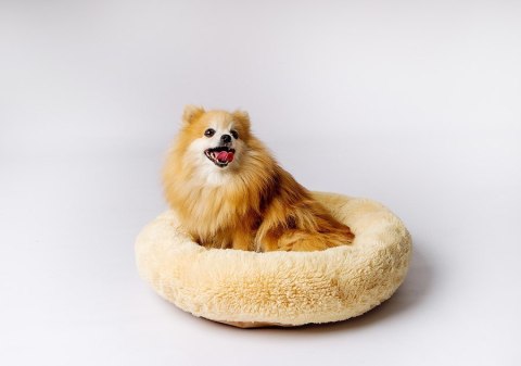 Go Gift GO GIFT Shaggy kremowy M - legowisko dla zwierząt - 57 x 57 x 10 cm Go Gift GO GIFT Shaggy kremowy M - legowisko dla zwierząt - 57 x 57 x 10 cm