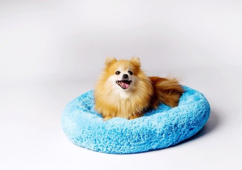 Go Gift GO GIFT Shaggy niebieski L - legowisko dla zwierząt - 66 x 66 x 10 cm Go Gift GO GIFT Shaggy niebieski L - legowisko dla zwierząt - 66 x 66 x 10 cm