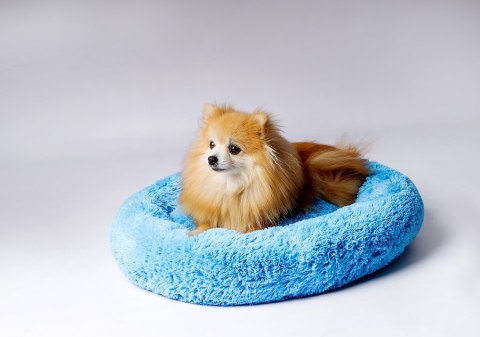 Go Gift GO GIFT Shaggy niebieski L - legowisko dla zwierząt - 66 x 66 x 10 cm Go Gift GO GIFT Shaggy niebieski L - legowisko dla zwierząt - 66 x 66 x 10 cm