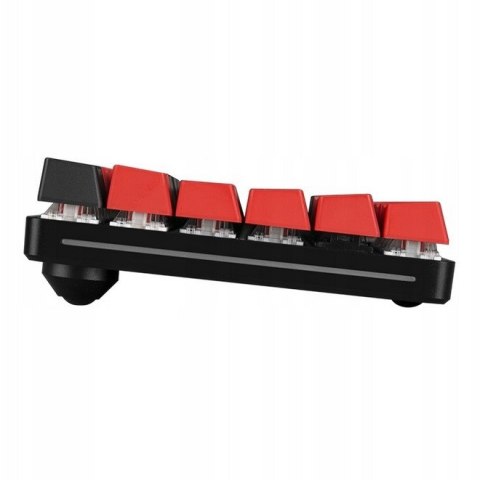 Madcatz Klawiatura mechaniczna Mad Catz S.T.R.I.K.E 11