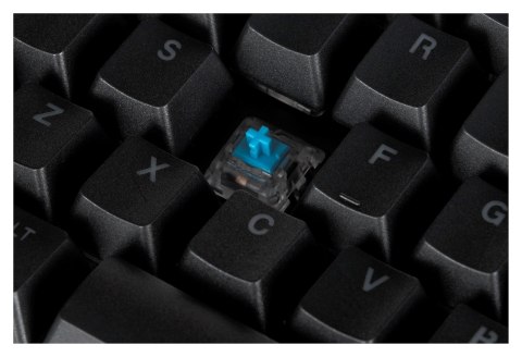 ENDORFY Klawiatura gamingowa ENDORFY Omnis Kailh Blue RGB