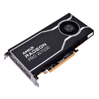 AMD Karta graficzna AMD Radeon Pro W7500 8GB GDDR6, 4x DisplayPort 2.1, 70W, PCI Gen4 x8
