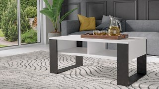 TOP E SHOP Stolik ława MODERN 2P 90x58xH50 biały/czarny