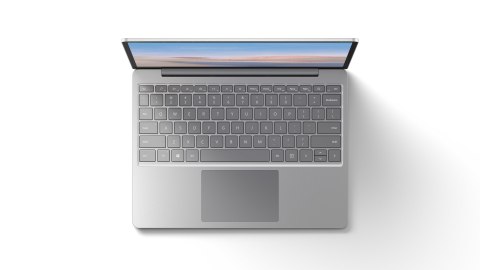 Microsoft (OEM) Microsoft Surface Go i5 10th/8GB/256G Win10 PRO Microsoft (OEM) Microsoft Surface Go i5 10th/8GB/256G Win10 PRO