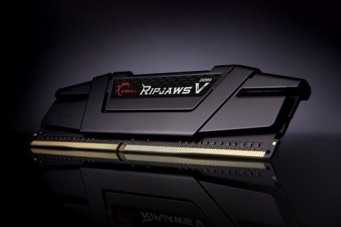 G.SKILL Pamięć G.SKILL RipjawsV F4-3200C16D-16GVKB (DDR4 DIMM; 2 x 8 GB; 3200 MHz; CL16) G.SKILL Pamięć G.SKILL RipjawsV F4-3200C16D-16GVKB (DDR4 DIMM; 2 x 8 GB; 3200 MHz; CL16)