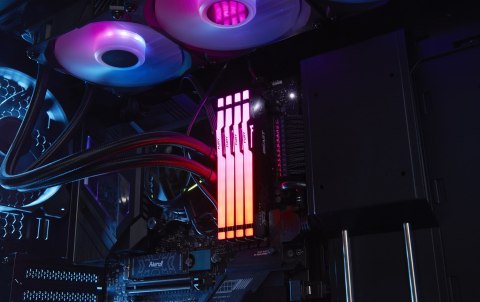 Kingston Kingston FURY DDR5 32GB (2x16GB) 5200MHz CL36 Beast Black RGB EXPO Kingston Kingston FURY DDR5 32GB (2x16GB) 5200MHz CL36 Beast Black RGB EXPO