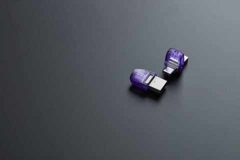 Kingston KINGSTON FLASH 256GB USB3.2 DataTraveler microDuo3C