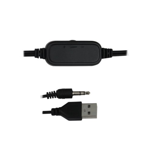 Esperanza ESPERANZA GŁOŚNIKI 2.0 USB LED RAINBOW NORTEC EGS106
