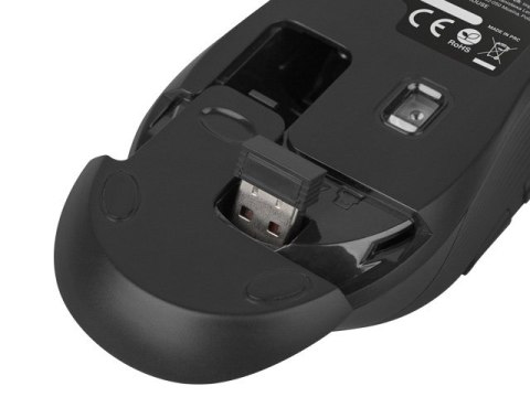 NATEC Zestaw klawiatura + mysz membranowa NATEC Stingray NZB-1440 (USB (Radio 2.4 GHz); (US); kolor czarny; optyczna; 1600 DPI, 800 DP