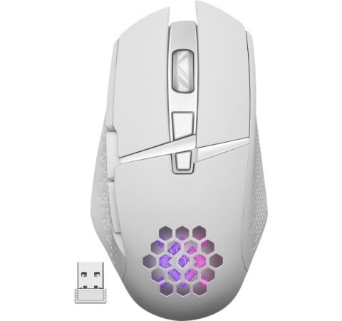 Defender DEFENDER MYSZ GM-514 GLORY OPTIC RF RGB 3200DPI 7P BIAŁA 52513 Defender DEFENDER MYSZ GM-514 GLORY OPTIC RF RGB 3200DPI 7P BIAŁA 52513