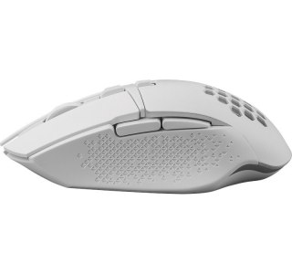 Defender DEFENDER MYSZ GM-514 GLORY OPTIC RF RGB 3200DPI 7P BIAŁA 52513