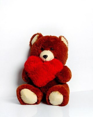 Go Gift Miś FRANK 50cm brązowy