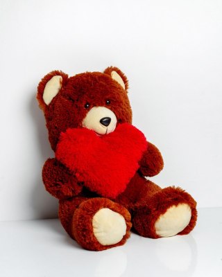 Go Gift Miś FRANK 50cm brązowy