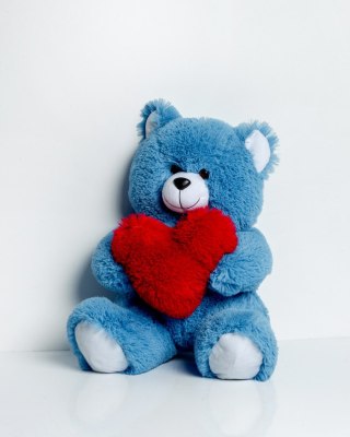 Go Gift Miś FRANK 50cm niebieski