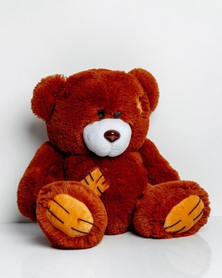 Go Gift Miś TEDDY 60cm brązowy