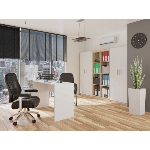 TOP E SHOP Szafa aktowa OLIV 2D 74x35xH180 sonoma/biały
