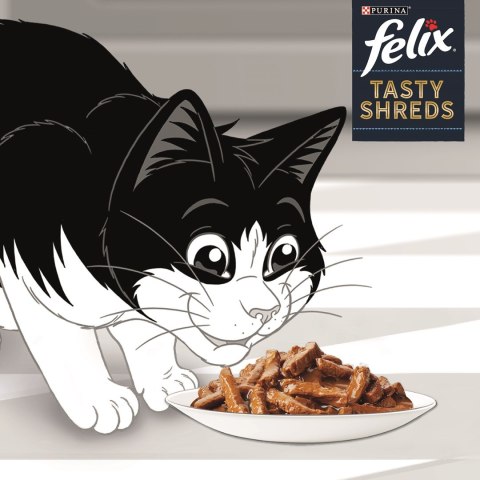 PURINA NESTLE FELIX Tasty Shreds z łososiem i tuńczykiem - mokra karma dla kota - 4x 80g PURINA NESTLE FELIX Tasty Shreds z łososiem i tuńczykiem - mokra karma dla kota - 4x 80g