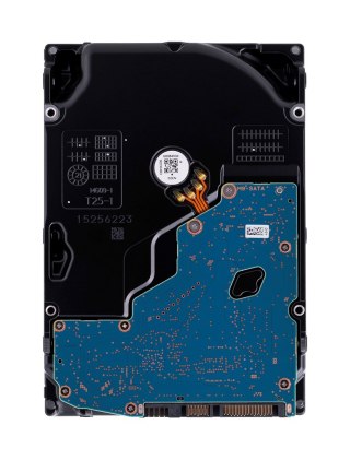 Synology Synology HDD Plus Series (12TB; 3.5"; SATA) HAT3310-12T