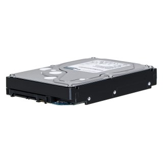 Synology Synology HDD Plus Series (8TB; 3.5"; SATA) HAT3310-8T