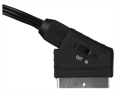SAVIO Kabel męski SAVIO CL-133 (SCART M - RCA x 3 M; 2m; kolor czarny) SAVIO Kabel męski SAVIO CL-133 (SCART M - RCA x 3 M; 2m; kolor czarny)