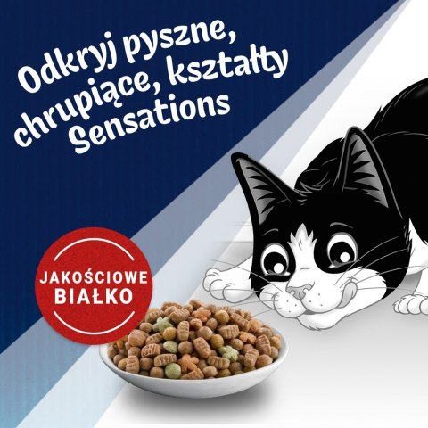 PURINA NESTLE Purina FELIX Countryside Sensations Wołowina 1kg PURINA NESTLE Purina FELIX Countryside Sensations Wołowina 1kg