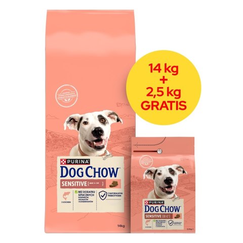 PURINA NESTLE PURINA DOG CHOW SENSITIVE Łosoś 14+2,5kg PURINA NESTLE PURINA DOG CHOW SENSITIVE Łosoś 14+2,5kg