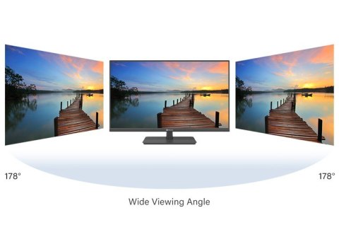 AG Neovo AG NEOVO MONITOR 32" HDMI, DP, VGA, PRACA 24/7 VA-3201