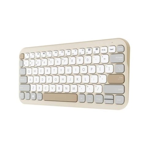 ASUS ASUS Marshmallow Keyboard KW100 ASUS ASUS Marshmallow Keyboard KW100
