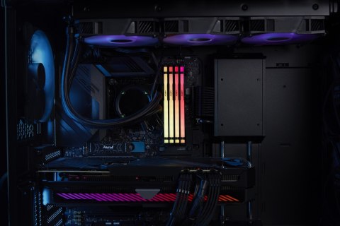 Kingston KINGSTON DDR5 32GB 6000MT/s CL36 DIMM (Kit of 2) FURY Beast RGB EXPO
