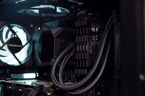 Kingston KINGSTON FURY Renegade DDR4 32GB 3600MHz CL16 (Kit x2) Czarny Kingston KINGSTON FURY Renegade DDR4 32GB 3600MHz CL16 (Kit x2) Czarny