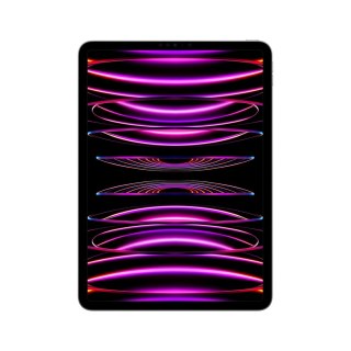 Apple Apple 11-inch iPad Pro (4 gen.) Wi-Fi 2TB Space Grey