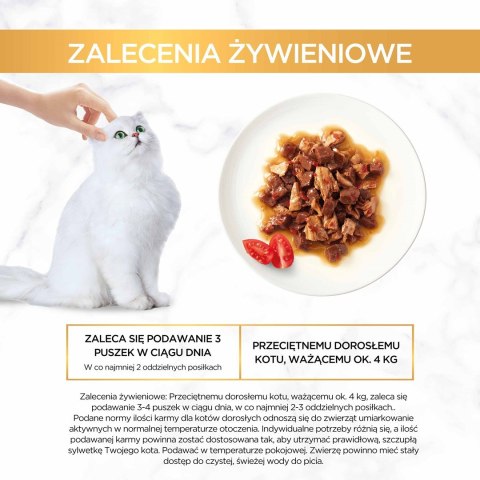 PURINA NESTLE GOURMET GOLD Wołowina z kurczakiem w sosie pomidorowym 85g