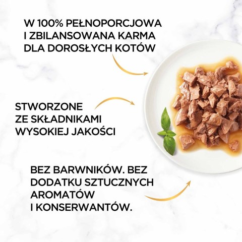 PURINA NESTLE Gourmet Gold Sauce Delights mokra karma dla kota z kurczakiem 85 g