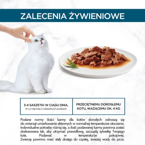 PURINA NESTLE Purina Gourmet Perle fileciki w sosie Mix Smaków - mokra karma dla kota - 60x85 g