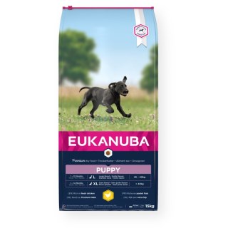 EUKANUBA EUKANUBA Growing Puppy Large Breed - sucha karma dla szczeniąt ras dużych - 15 kg