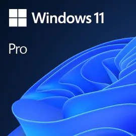 Microsoft (OEM) Windows Professional 11 64-bit All Lang Product Key