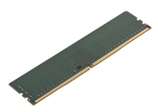 Synology Synology 8GB DDR4 ECC Unbuffered DIMM (FS2500, RS2423RP+, RS2423+) D4EU01-8G