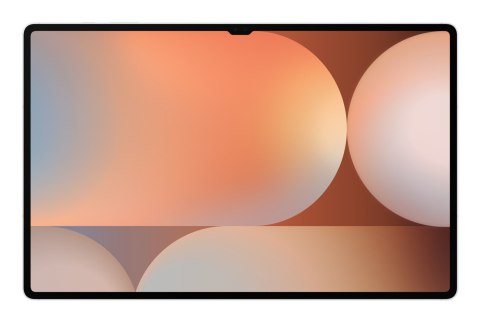 Samsung Samsung Galaxy Tab S10 Ultra (X926) WiFi+5G 12/256GB Silver Samsung Samsung Galaxy Tab S10 Ultra (X926) WiFi+5G 12/256GB Silver