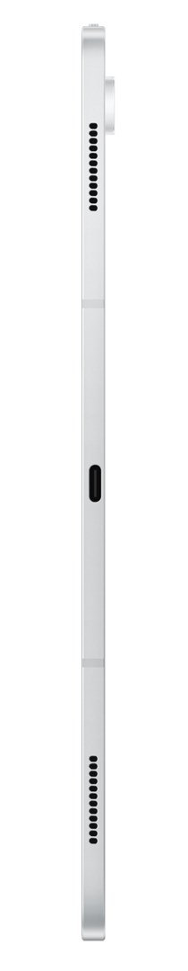 Samsung Samsung Galaxy Tab S10 Ultra (X926) WiFi+5G 12/256GB Silver Samsung Samsung Galaxy Tab S10 Ultra (X926) WiFi+5G 12/256GB Silver