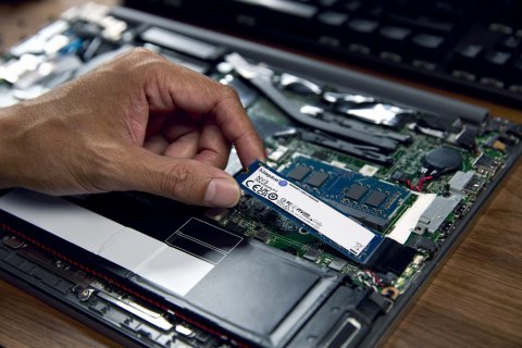 Kingston Kingston DYSK SSD 1000G NV3 M.2 2280 PCIe 4.0 NVMe