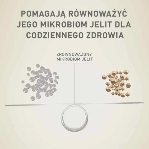 PURINA NESTLE Purina ONE MINI Dog Active GiG wołowina, ziem. 85g PURINA NESTLE Purina ONE MINI Dog Active GiG wołowina, ziem. 85g